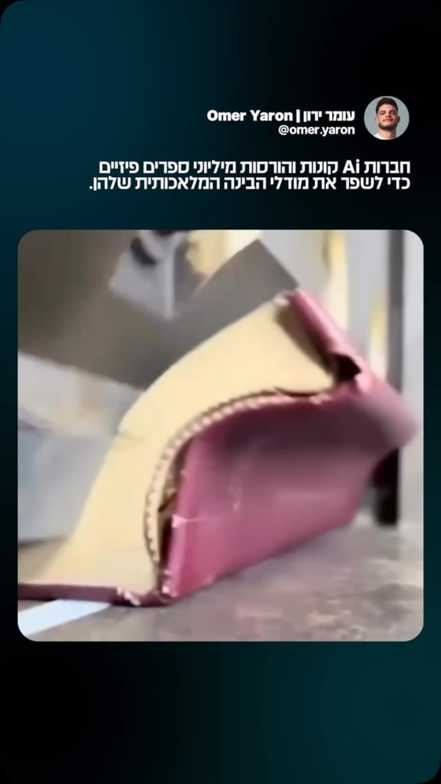 חברות Ai רוכשות בכמויות ספרים נדירים, חותכות את קצוות הספרים לטובת סריקה במהירות גבוהה, וגורסות את מה שנותר.